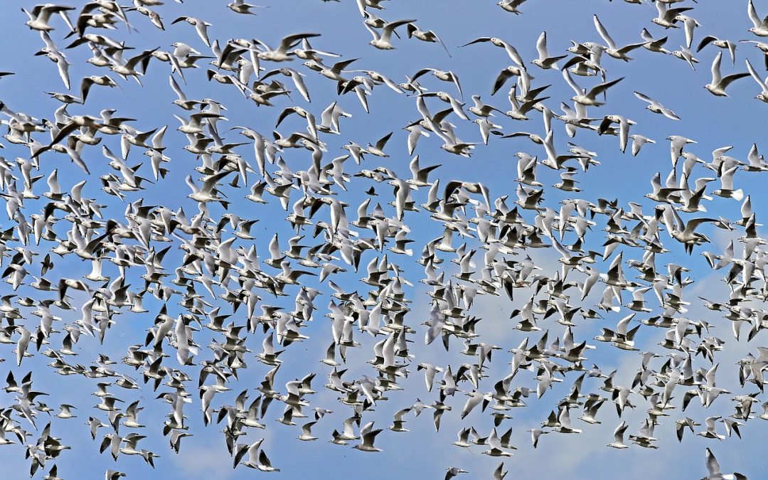 Aktivitas Bea Cukai Hang Nadim: Strategi Peningkatan Efisiensi 2025